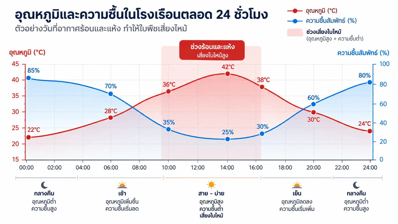กราฟอุณหภูมิและความชื้นในโรงเรือนตลอด 24 ชั่วโมง ช่วงสายถึงบ่ายอุณหภูมิสูงถึง 42°C ขณะที่ความชื้นลดเหลือ 25%