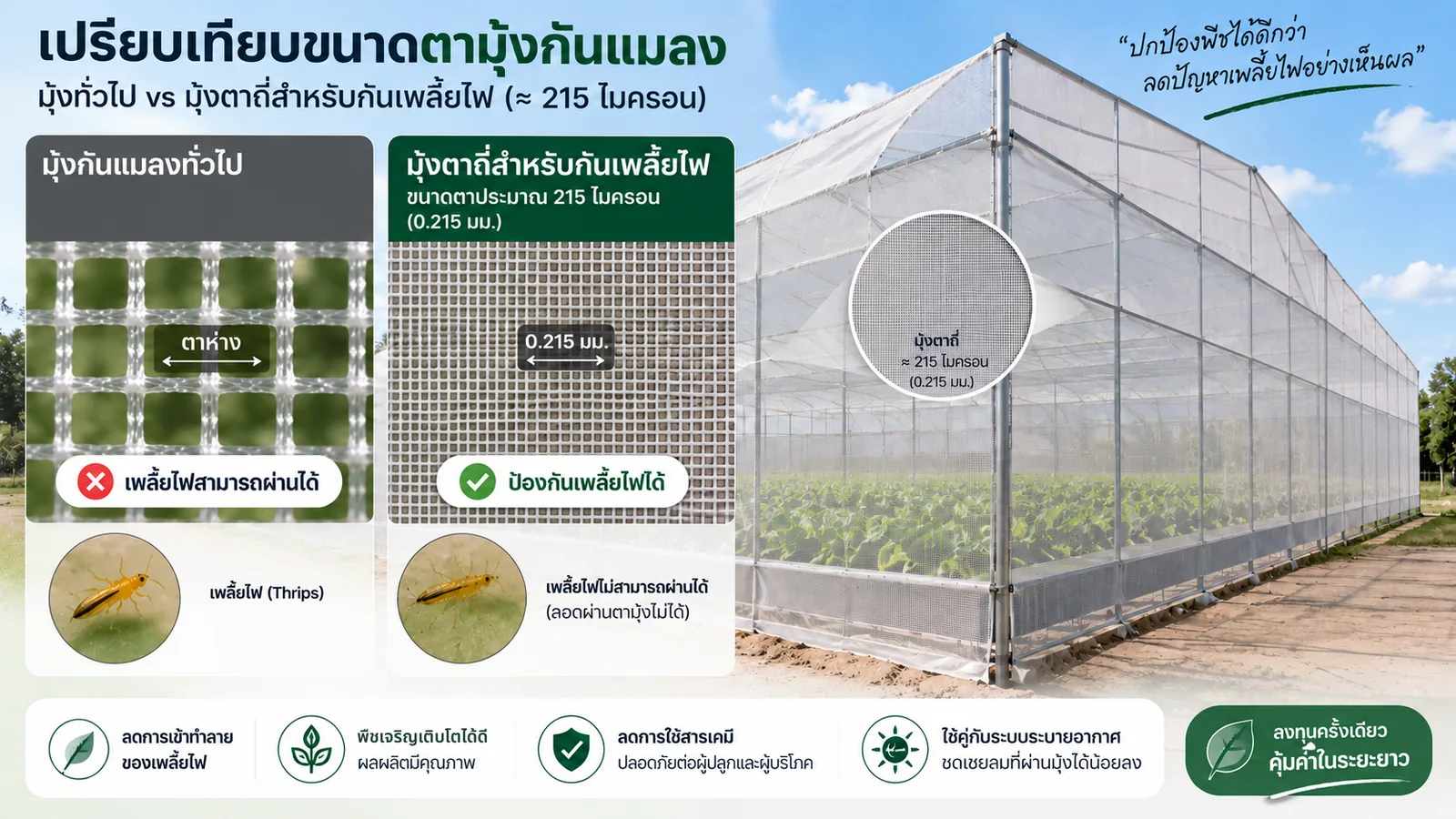 อินโฟกราฟิกเปรียบเทียบมุ้งกันแมลงทั่วไปที่เพลี้ยไฟลอดผ่านได้ กับมุ้งตาถี่ประมาณ 215 ไมครอนที่กันเพลี้ยไฟได้ พร้อมภาพโรงเรือนกันแมลง