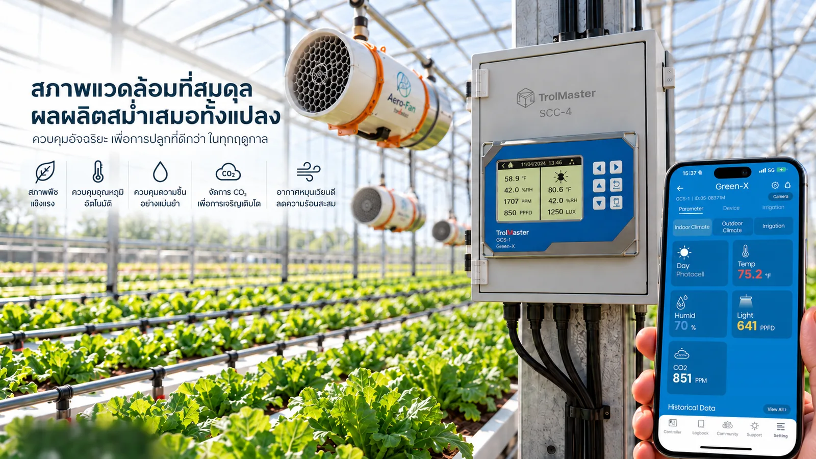 ผักในโรงเรือนโตสม่ำเสมอทั้งแปลง มีพัดลม Aero-Fan ตัวควบคุม GCS-1 และมือถือเปิดแอป TM+ Pro แสดงค่าสภาพแวดล้อมและข้อมูลย้อนหลัง