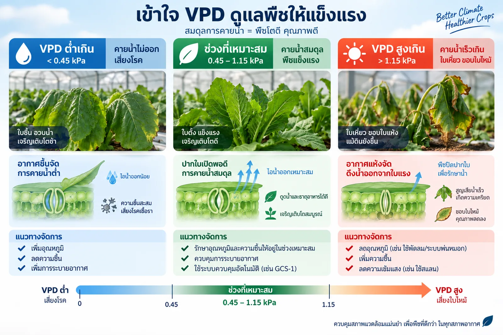 อินโฟกราฟิกเปรียบเทียบค่า VPD สามช่วง ต่ำกว่า 0.45 kPa พืชคายน้ำไม่ออกและเสี่ยงโรค ช่วงที่เหมาะสม 0.45 ถึง 1.15 kPa พืชคายน้ำสมดุล และสูงกว่า 1.15 kPa พืชคายน้ำเร็วเกินจนใบเหี่ยวขอบใบไหม้